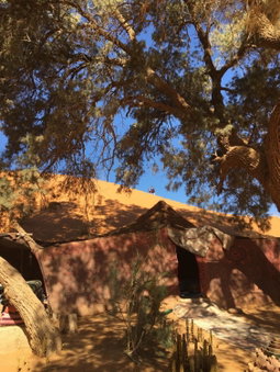 Khamlia Desert Bed & Breakfast, Khamliya, Morocco