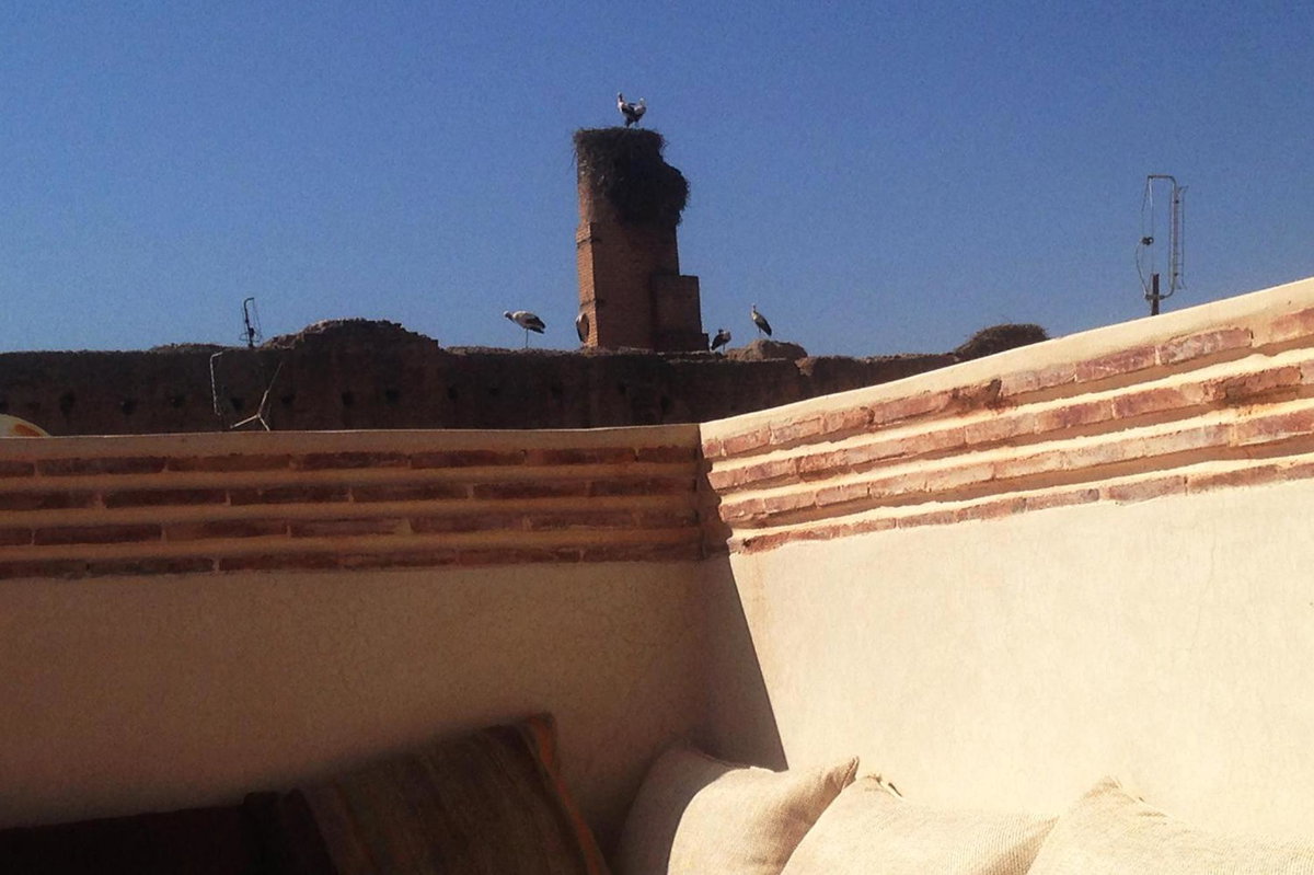 Riad Of The Storks, Morocco