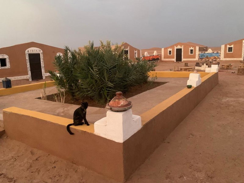 Desert Tours & Camp Chraika, Mhamid, Morocco