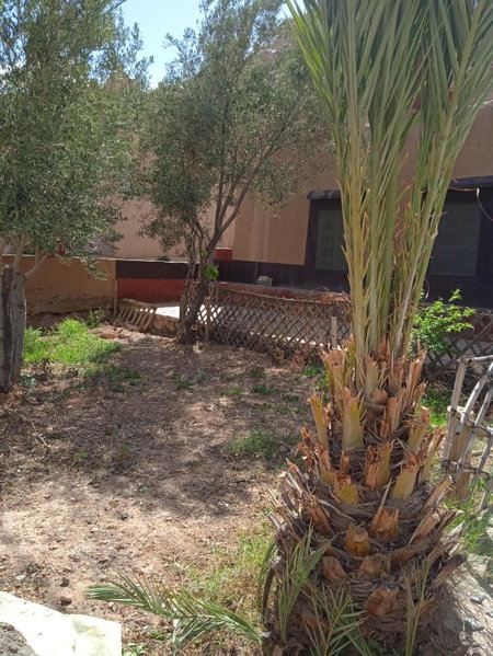 Dar Jamila, Achbarou, Morocco