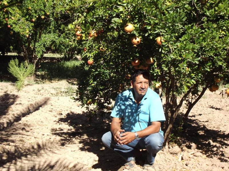 Le Jardin des Grenadiers, Skoura, Morocco