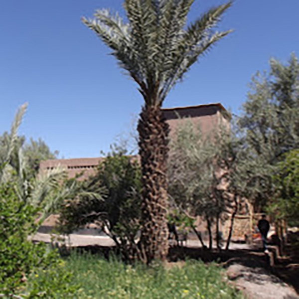 Le Jardin des Grenadiers, Skoura, Morocco