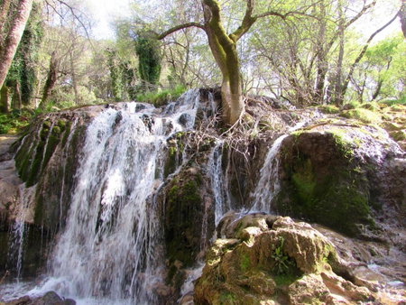 Bed and breakfast, Ifrane, Morocco