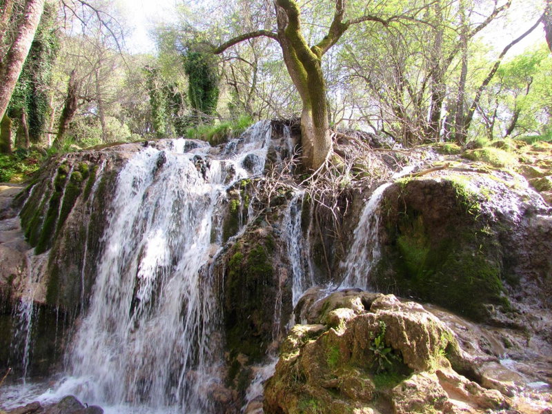 Bed and breakfast, Ifrane, Morocco