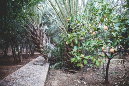 The Bio Beldi Home & Restaurant, Tafraoute, Morocco