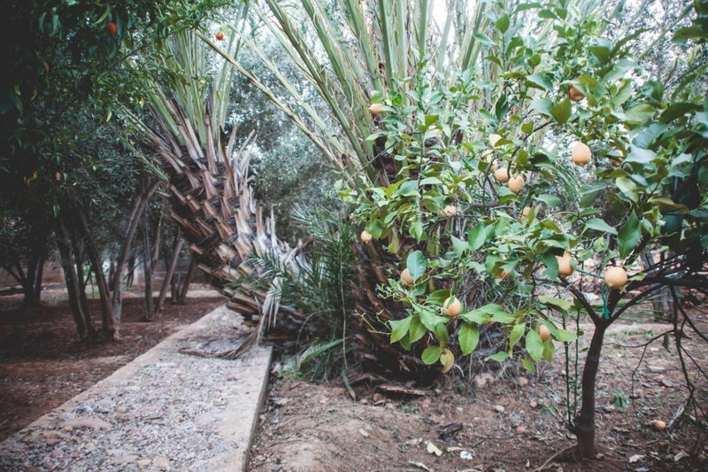 The Bio Beldi Home & Restaurant, Tafraoute, Morocco