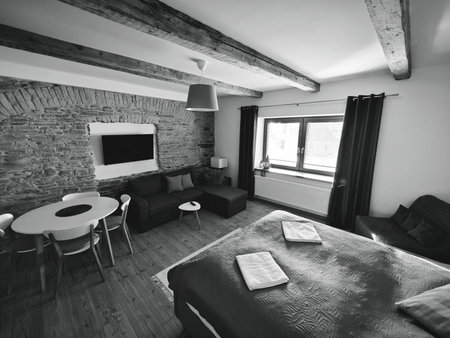APARTMÁNY 91 Boží Dar, Boží Dar, Czechia