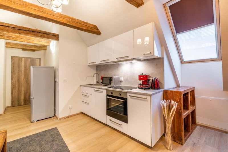 Masná 20 - Old Town Residence, Prague, Czechia