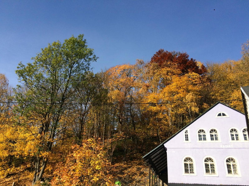 UBYTOVÁNÍ u BRABANTÍKA, Desná, Czechia