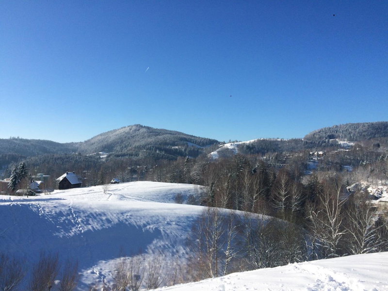 UBYTOVÁNÍ u BRABANTÍKA, Desná, Czechia