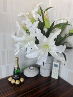 Apartment Lupáčova, Prague, Czechia