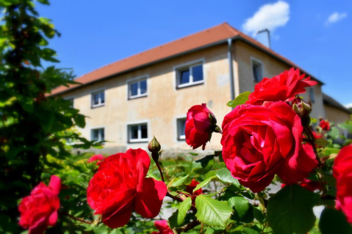 Hotel · PENZION a FARMA NA BORŮVKOVÉM VRŠKU, Bujanov