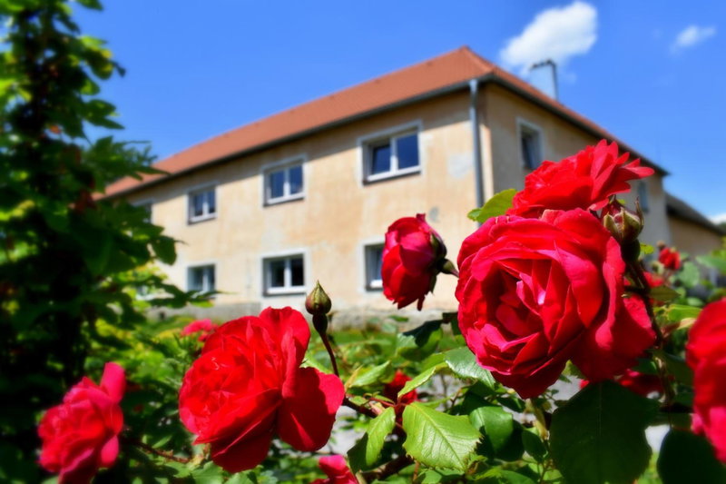 PENZION a FARMA NA BORŮVKOVÉM VRŠKU, Bujanov, Czechia