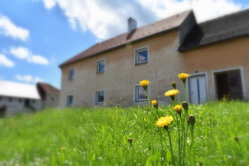 PENZION a FARMA NA BORŮVKOVÉM VRŠKU, Bujanov, Czechia