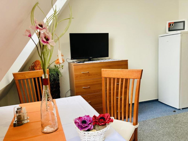 Apartmány, Penzion, Wellness U zlaté rybky, Vyškov, Czechia
