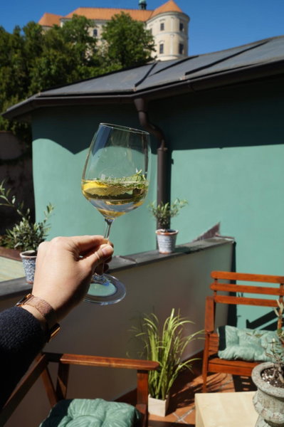 Olivea penzion & wine Mikulov, Mikulov, Czechia