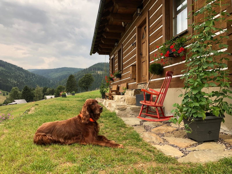 Apartmán U Setra, Pec pod Sněžkou, Czechia