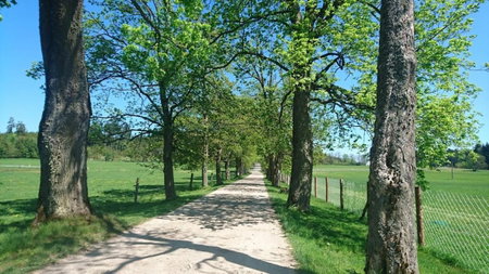 Bison Ranch, Rožnov, Czechia