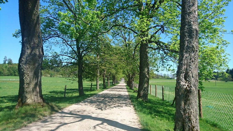 Bison Ranch, Rožnov, Czechia