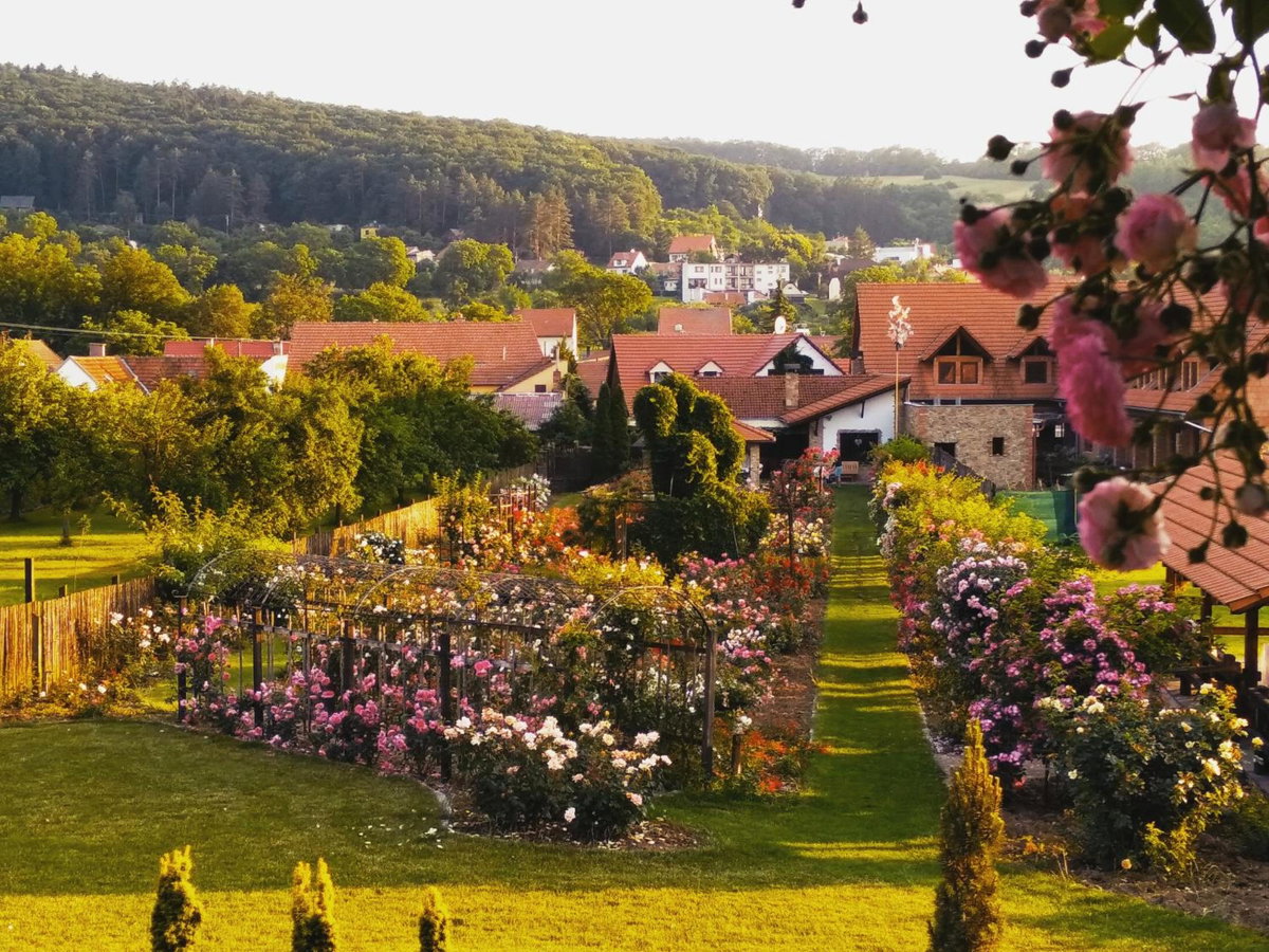 Hotel · penzion ROSETA, Radějov