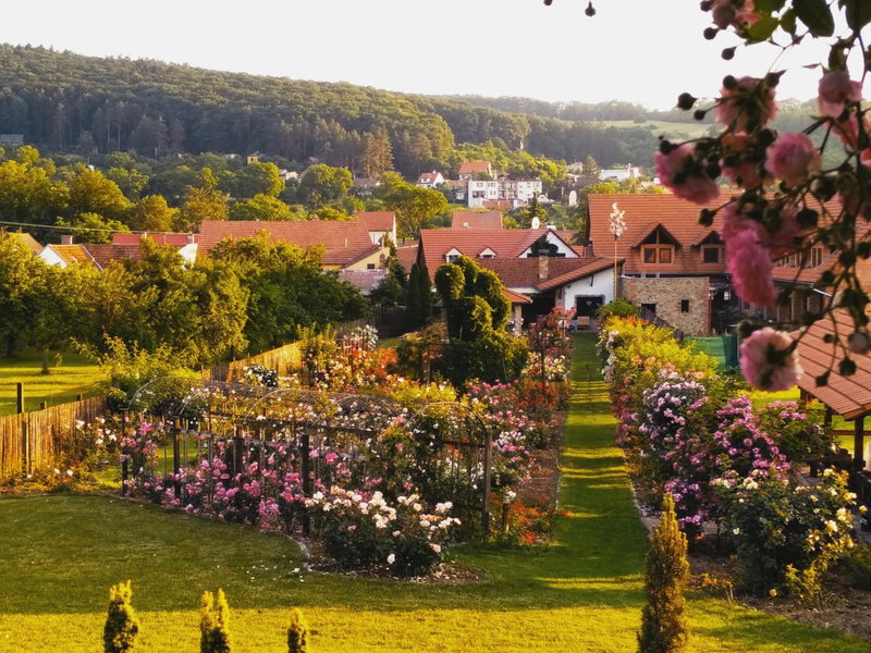 penzion ROSETA, Radějov, Czechia