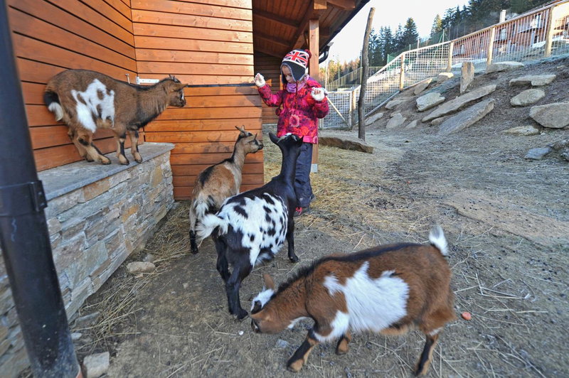 Vetrnik Depandance Hotelu Jirinka, Dolní Morava, Czechia