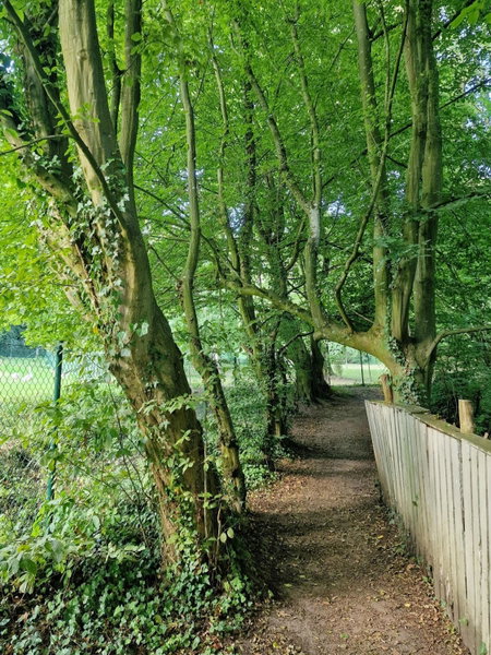 B&B Le Reclus, Mont-de-l'Enclus, Belgium