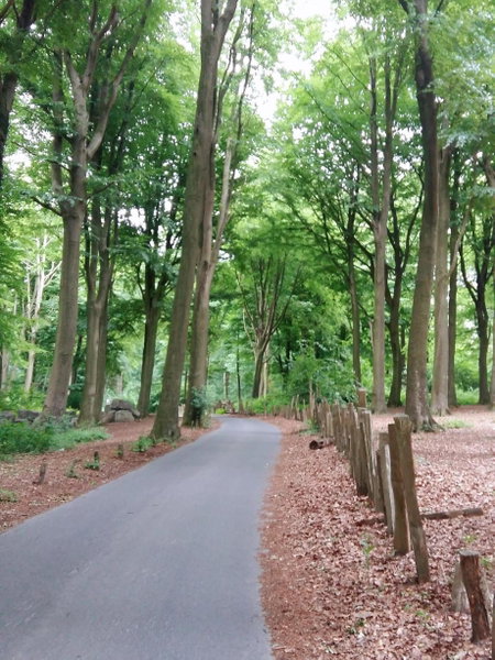 B&B Le Reclus, Mont-de-l'Enclus, Belgium