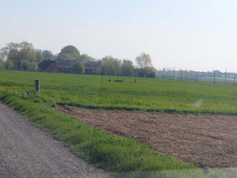 B&B Clogher Farm, Poperinge, Belgium