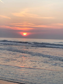 Chaff, Ostend, Belgium
