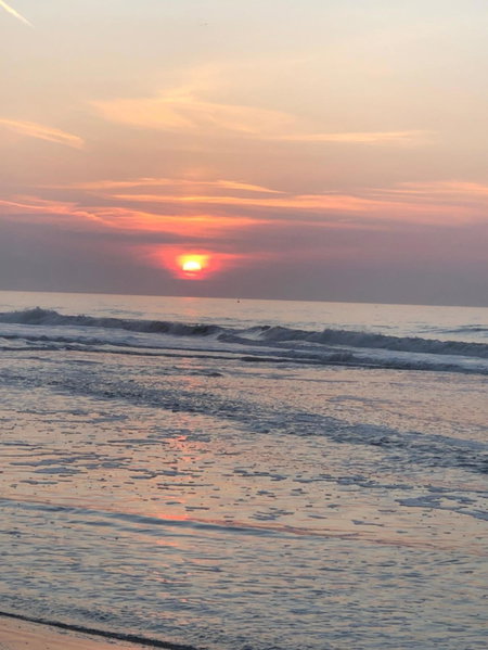 Chaff, Ostend, Belgium