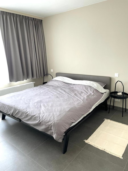 Chaff, Ostend, Belgium