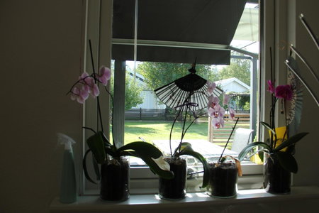 Private room for rent in a villa with garden view, Älmhult, Sweden