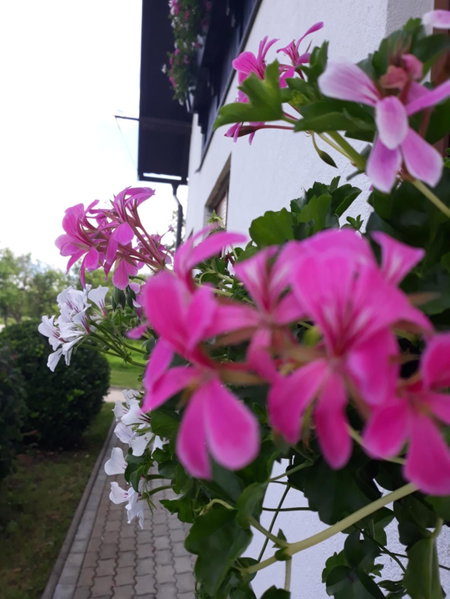 Apartment Lena, Gornji Vaganac, Croatia
