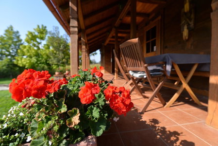Old Oak House with pool, Maruševec, Croatia