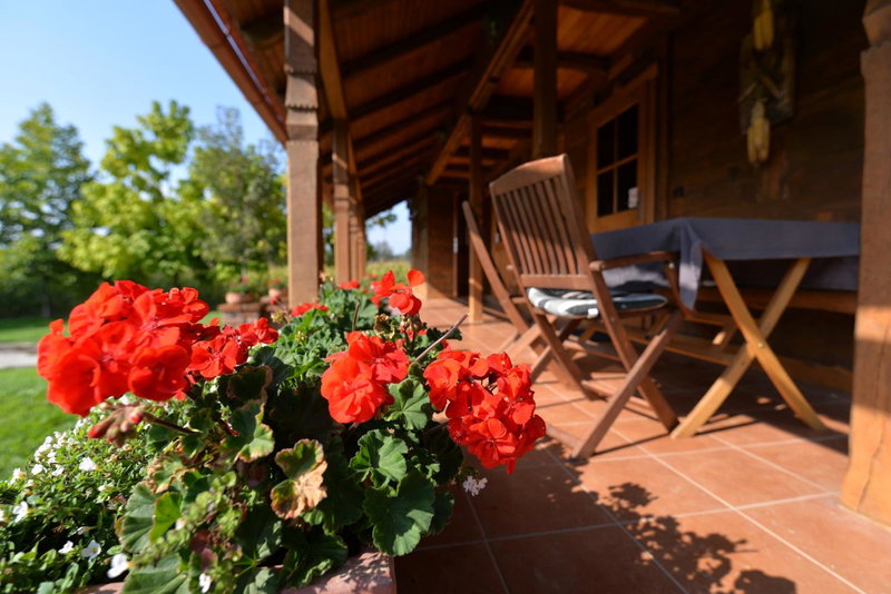 Old Oak House with pool, Maruševec, Croatia