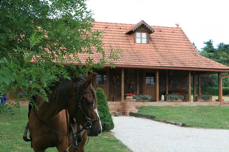 Old Oak House with pool, Maruševec, Croatia