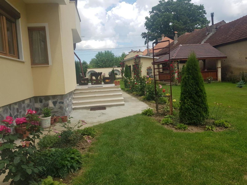 Vila Grecu, Copăcel, Romania