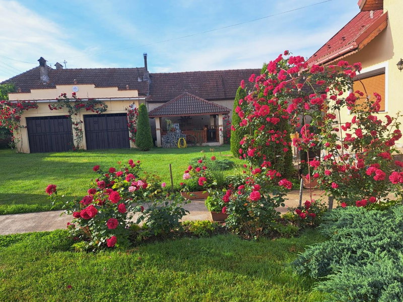 Vila Grecu, Copăcel, Romania