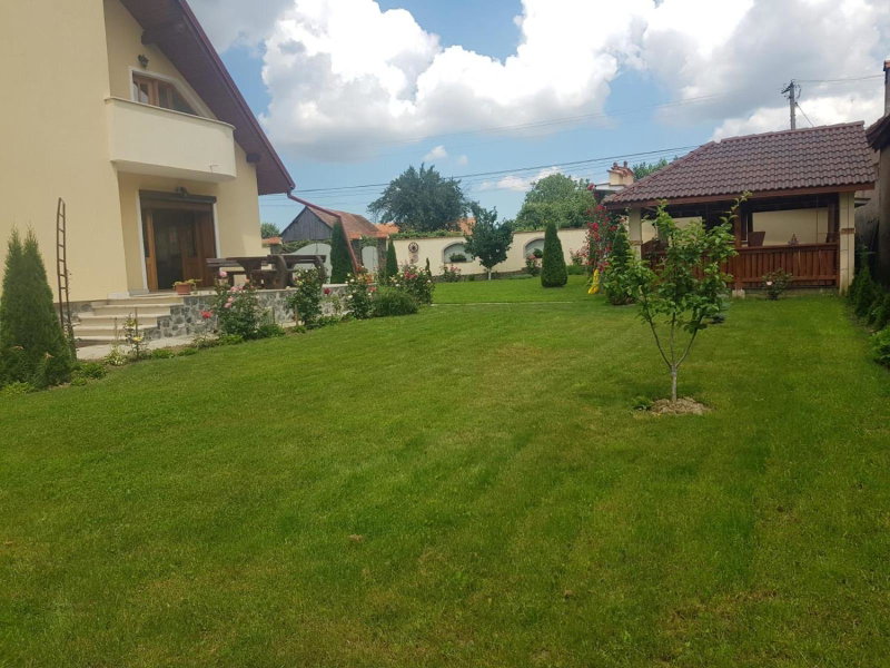 Vila Grecu, Copăcel, Romania
