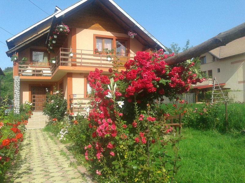 Nopti de Vara Transfăgărășan, Căpăţîneni-Pămînteni, Romania