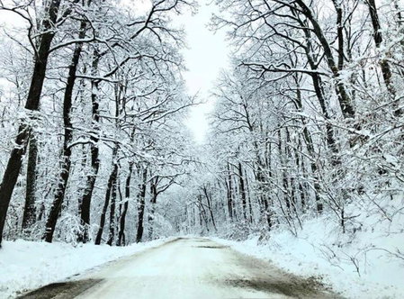 Cabanele Sașilor, Cisnadioara, Romania