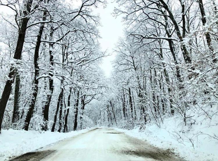 Cabanele Sașilor, Cisnadioara, Romania