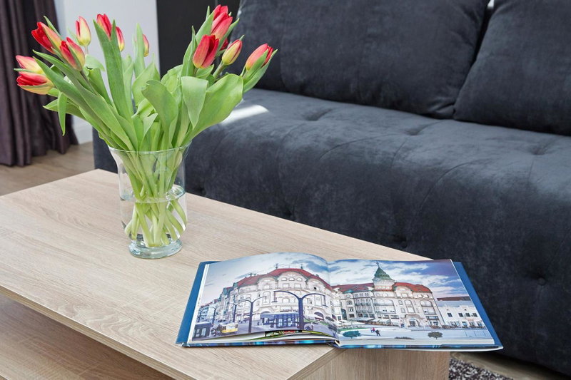 Panoramic Studio Oradea, Oradea, Romania