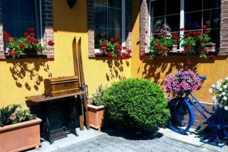 ATRIUM 24 Suite, Sighişoara, Romania