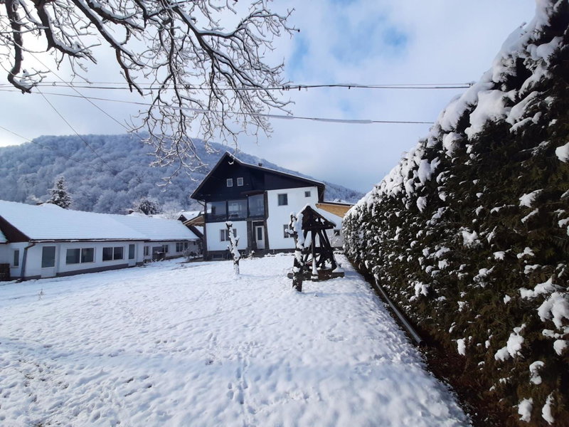 Pensiunea Mateo, Bran, Romania