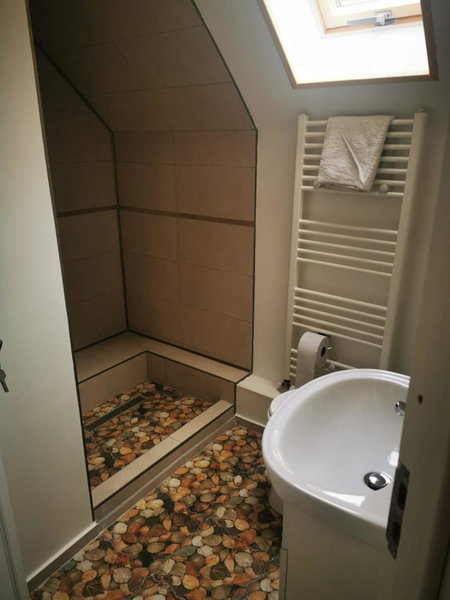 Cabana "Trei Brazi " Retezat, Rîu de Mori, Romania