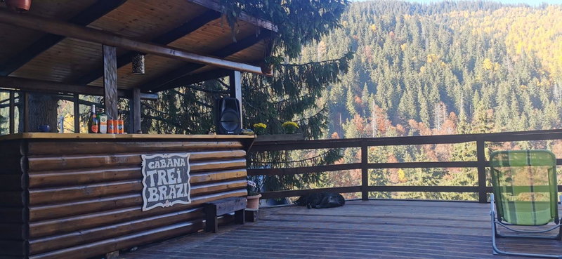 Cabana "Trei Brazi " Retezat, Rîu de Mori, Romania