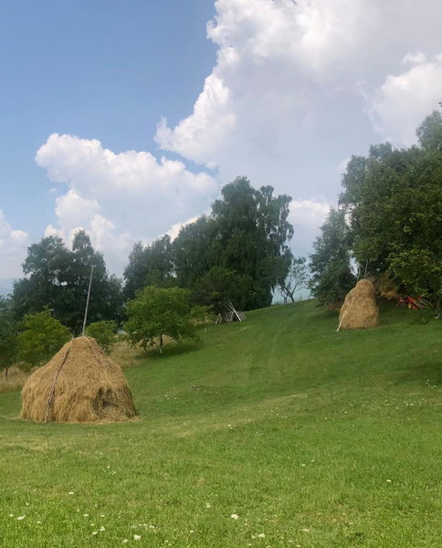 Pensiunea Poiana Viselor, Poiana Mărului, Romania