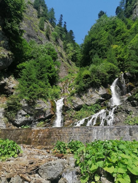 Apartamentul ALB, Buşteni, Romania